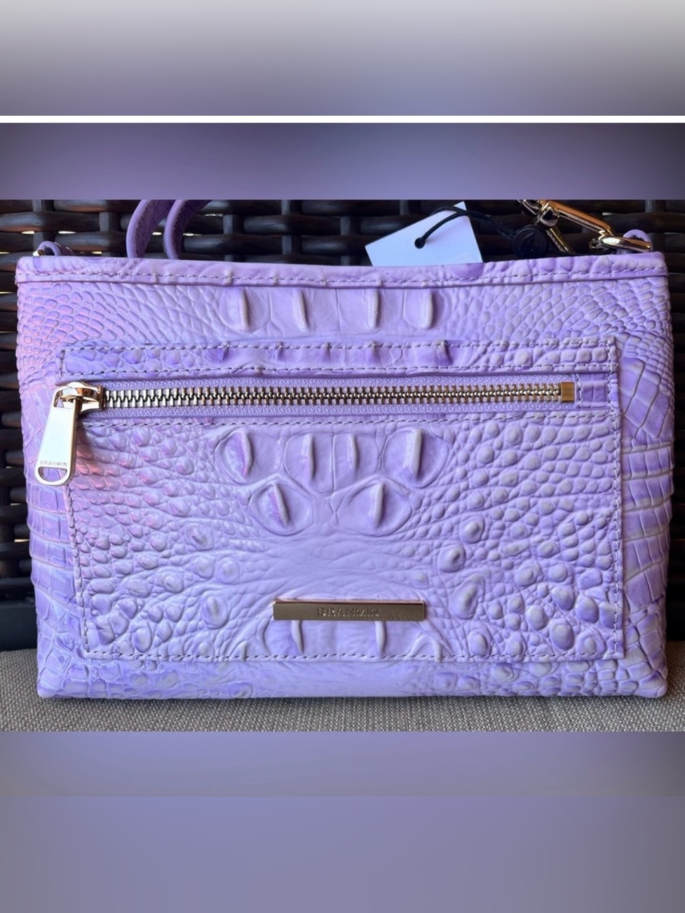 NWT Brahmin VIDA in GENTLE LAVENDER Melbourne Crossbody Bag